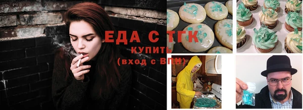 СК Медногорск