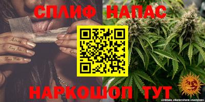 гидропоника Бийск