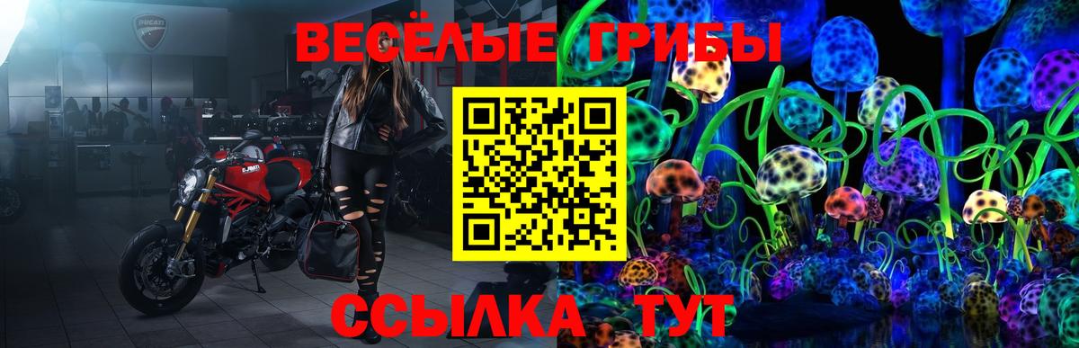 Псилоцибиновые грибы прущие грибы  Благодарный 