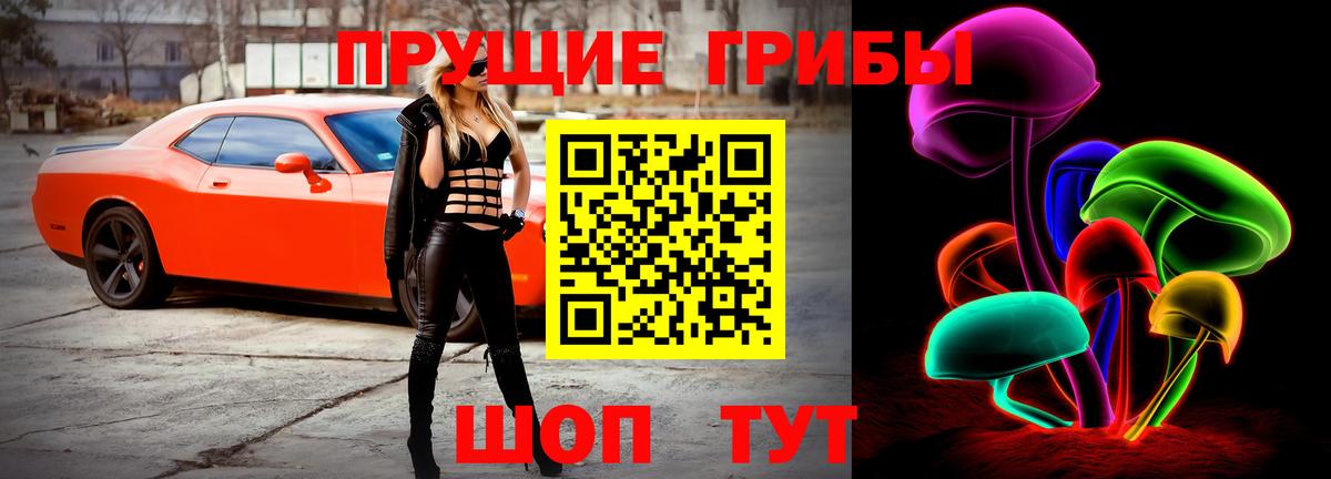 Псилоцибиновые грибы GOLDEN TEACHER  Вход с VPN  Псилоцибиновые грибы Psilocybine cubensis  Благодарный 