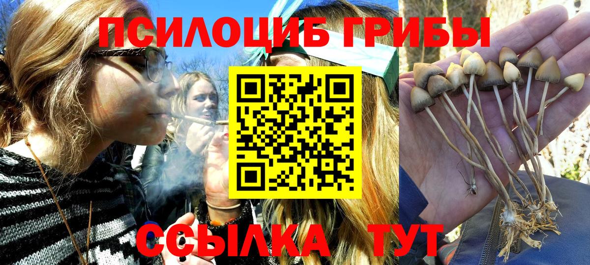 Галлюциногенные грибы Cubensis Благодарный